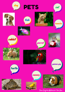 English Vocabulary - PETS