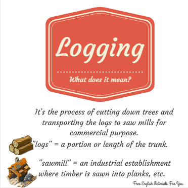 logging_-_vocabulary
