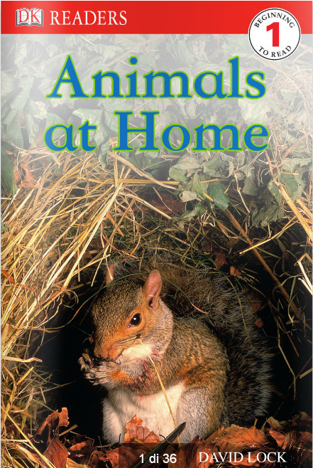 Animals_at_home