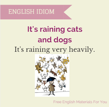 It's_raining_cats_and_dogs