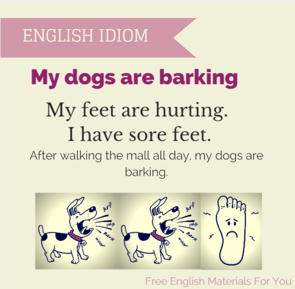 my_dogs_are_barking_-_idiom