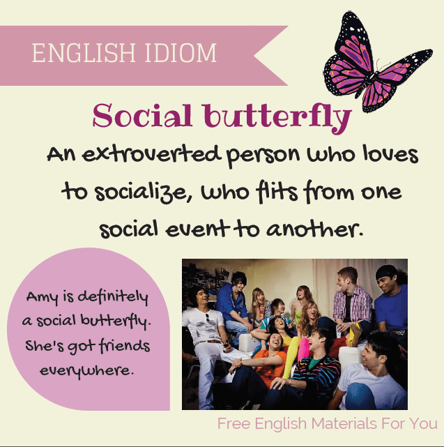 Social butterfly