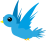 bird-548654_1280.png
