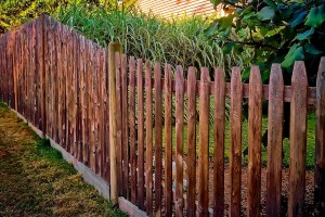 fence