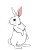 rabbit-551991_1920.jpg