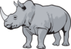 rhino-gray-th.png