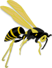 wasp.png